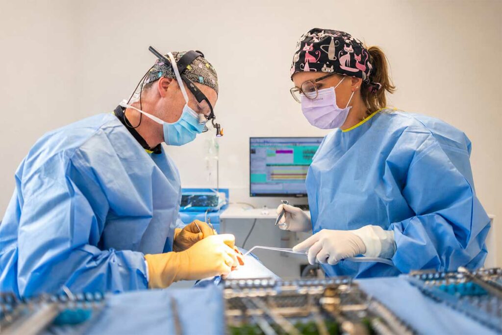 Équipe du Cabinet dentaire de l'Ermitage réalisant une intervention de chirurgie dentaire à Lambres-lez-Douai